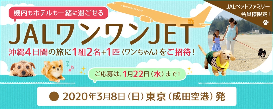 JALペットファミリー会員様限定！ 機内もホテルも一緒に過ごせる JALワンワンJET 沖縄4日間の旅に1組2名+1匹（ワンちゃん）をご招待！ ご応募は、1月22日（水）まで！ 2020年3月8日（日）東京（成田空港）発