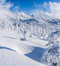 A traditional Japanese snow resort with modern comforts.