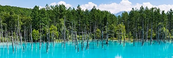 透過日本航空假期探索北海道壯闊景致