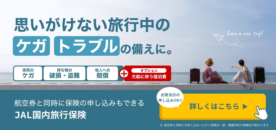 思いがけない旅行中のケガトラブルの備えに。突然のケガ 持ち物の破損・盗難 他人への賠償+オプション 欠航に伴う宿泊費 出発当日の申し込みOK！！詳しくはこちら 航空券と同時に保険の申し込みもできるJAL国内旅行保険 ※航空券と同時にお申し込みいただく保険は一部、補償内容や保険料が異なります