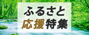 ふるさと応援特集