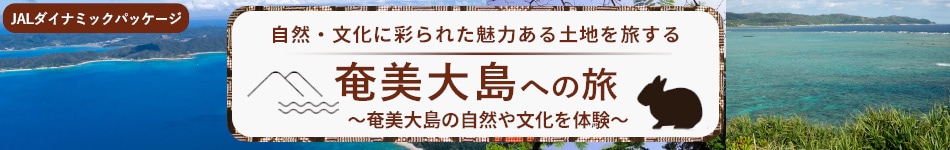 自然・文化に彩られた魅力ある土地を旅する 奄美大島への旅