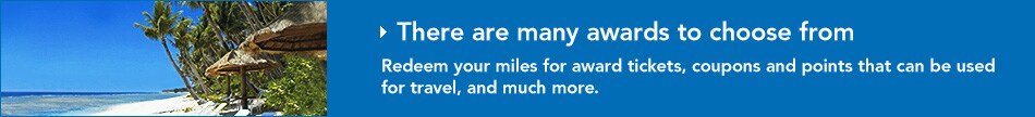 There are many awards to choose from
Redeem your miles for award tickets, coupons and points that can be used for travel, and much more.