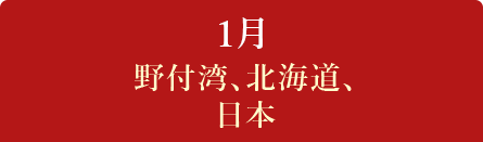 1月　野付湾、北海道、日本