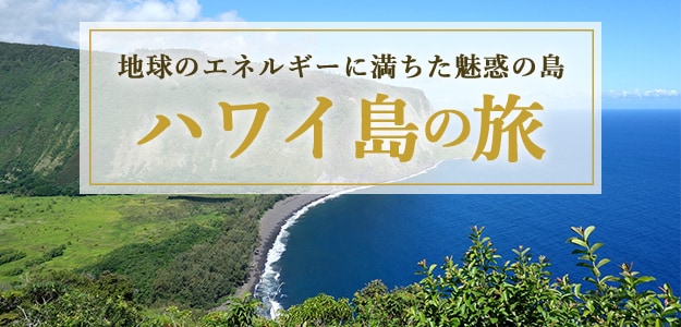 Jal海外ツアー ハワイ旅行 海外旅行 ツアーならjalパック