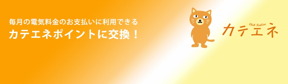 毎月の電気料金のお支払いに利用できる カテエネポイントに交換!