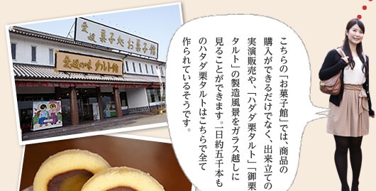 こちらの「お菓子館」では、商品の購入ができるだけでなく、出来立ての実演販売や、「ハダダ栗タルト」「御栗タルト」の製造風景をガラス越しに見ることができます。一日約五千本ものハタダ栗タルトはこちらで全て作られているそうです。