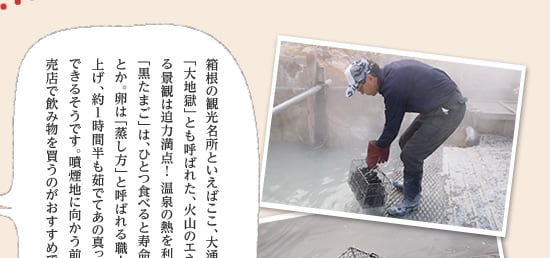 箱根の観光名所といえばここ、大涌谷です。かつて「大地獄」とも呼ばれた、火山のエネルギーを感じる景観は迫力満点！ 温泉の熱を利用した人気の「黒たまご」は、ひとつ食べると寿命が７年延びるとか。卵は「蒸し方」と呼ばれる職人の方が茹で上げ、約１時間半も茹でてあの真っ黒なゆで卵ができるそうです。噴煙地に向かう前に、ふもとの売店で飲み物を買うのがおすすめです。