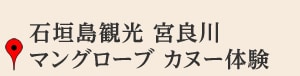 石垣島観光 宮良川マングローブ カヌー体験