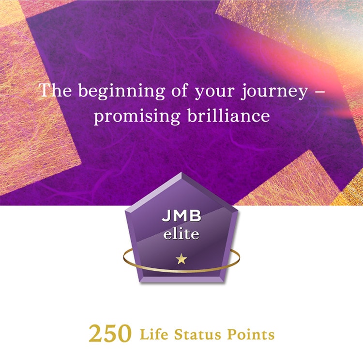 250 Life Status Points The beginning of your journey - promising brilliance