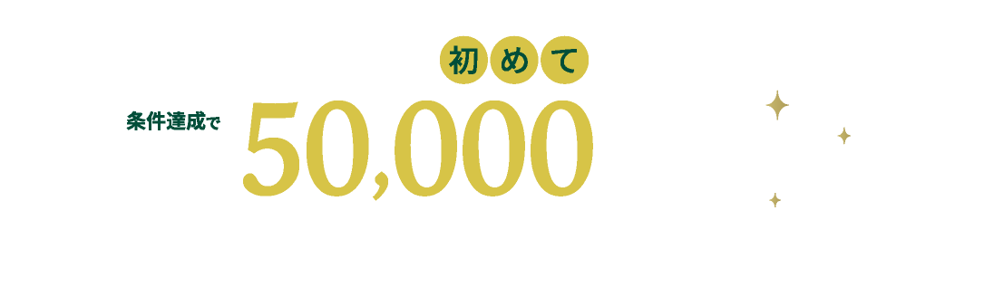 jal パック マイル 使える コレクション