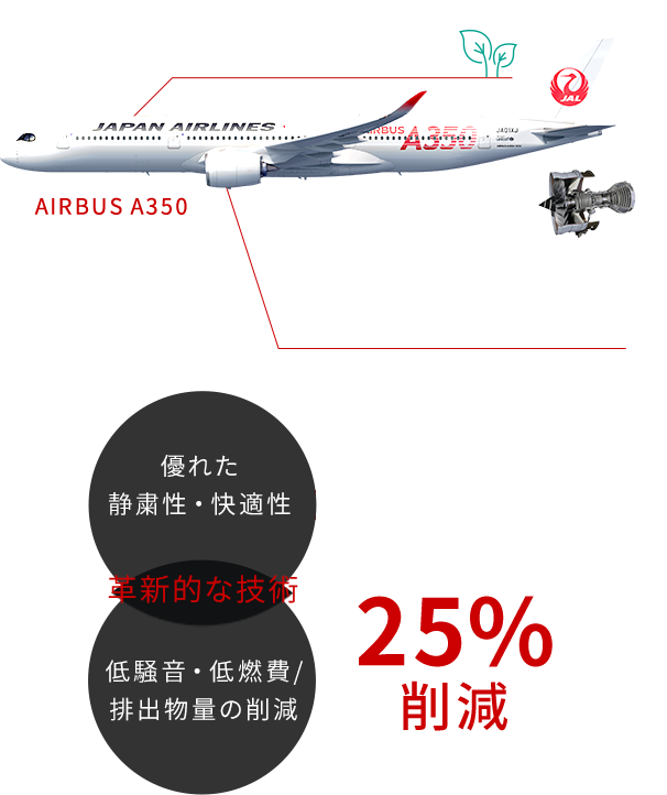 JAL国内線 AIRBUS A350