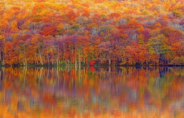 東北(青森)|蔦沼