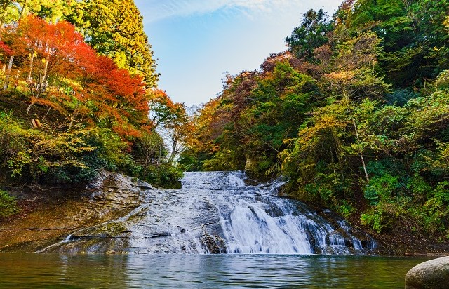 千葉県 | 養老渓谷