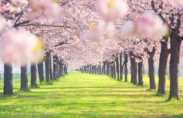甲信越|長野(小布施町)