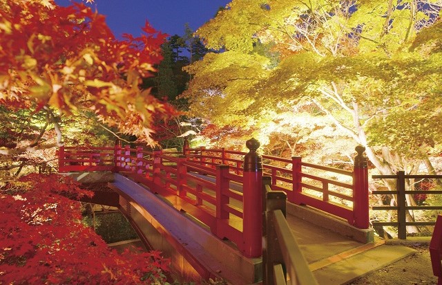 甲信越|新潟(弥彦公園もみじ谷)