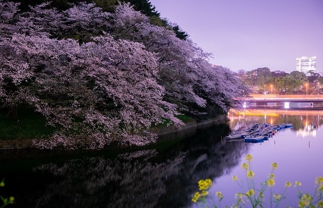 東京都 | 千鳥ヶ淵