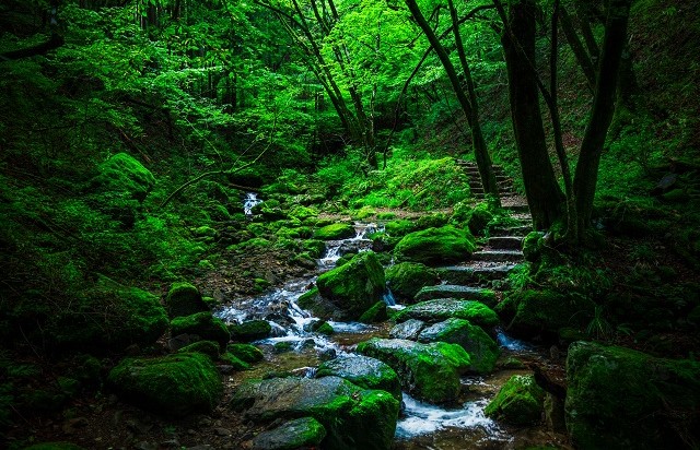 東京都 | 御岳山