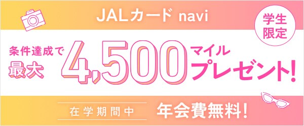 年末年始でも同料金】JAL航空券 東京/羽田～沖縄/那覇 マイル積算可 全時間帯同料金 - 乗車券、交通券