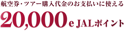 航空券・ツアー購入代金のお支払いに使える 20,000e JALポイント