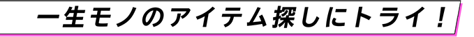 一生モノのアイテム探しにトライ！