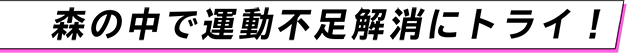 森の中で運動不足解消にトライ！