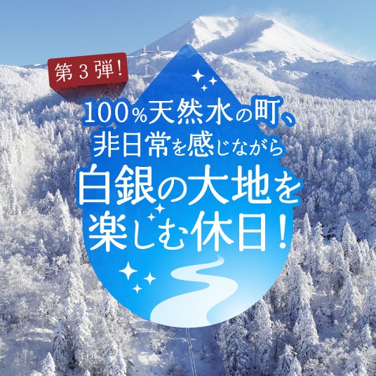 〔第3弾！〕100％天然水の町、非日常を感じながら白銀の大地を楽しむ休日！