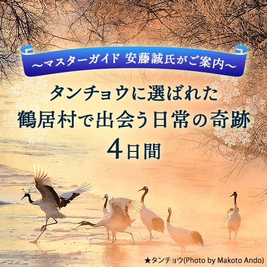 ～マスターガイド 安藤誠氏がご案内～ タンチョウに選ばれた鶴居村で出会う日常の奇跡4日間