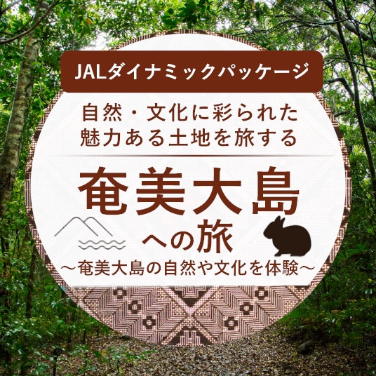 JALダイナミックパッケージ 自然・文化に彩られた魅力ある土地を旅する 奄美大島への旅 ～奄美大島の自然や文化を体験～