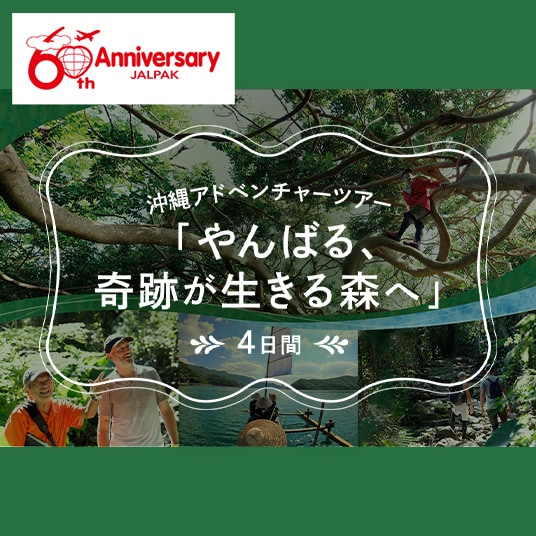 沖縄アドベンチャーツアー「やんばる、奇跡が生きる森へ」4日間