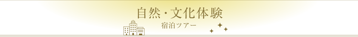 自然文化体験宿泊ツアー