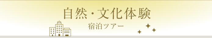 自然文化体験宿泊ツアー