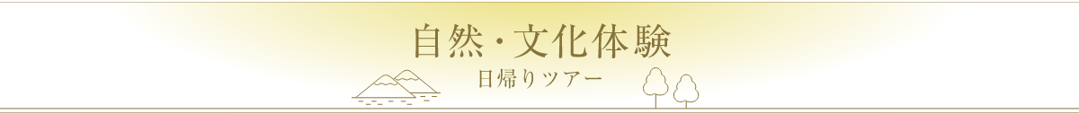 日帰りアクティビティ