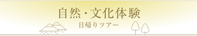 自然文化体験日帰りアクティビティ