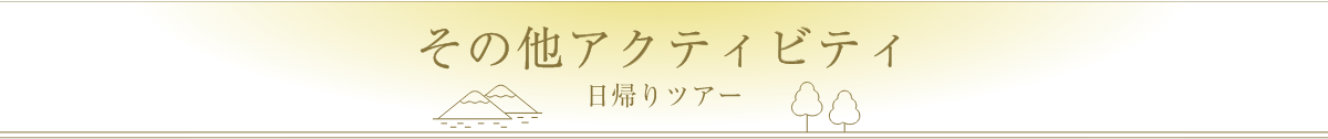 アクティビティ