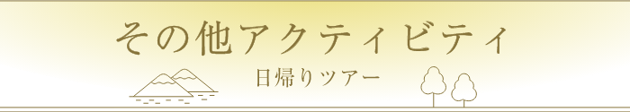 アクティビティ