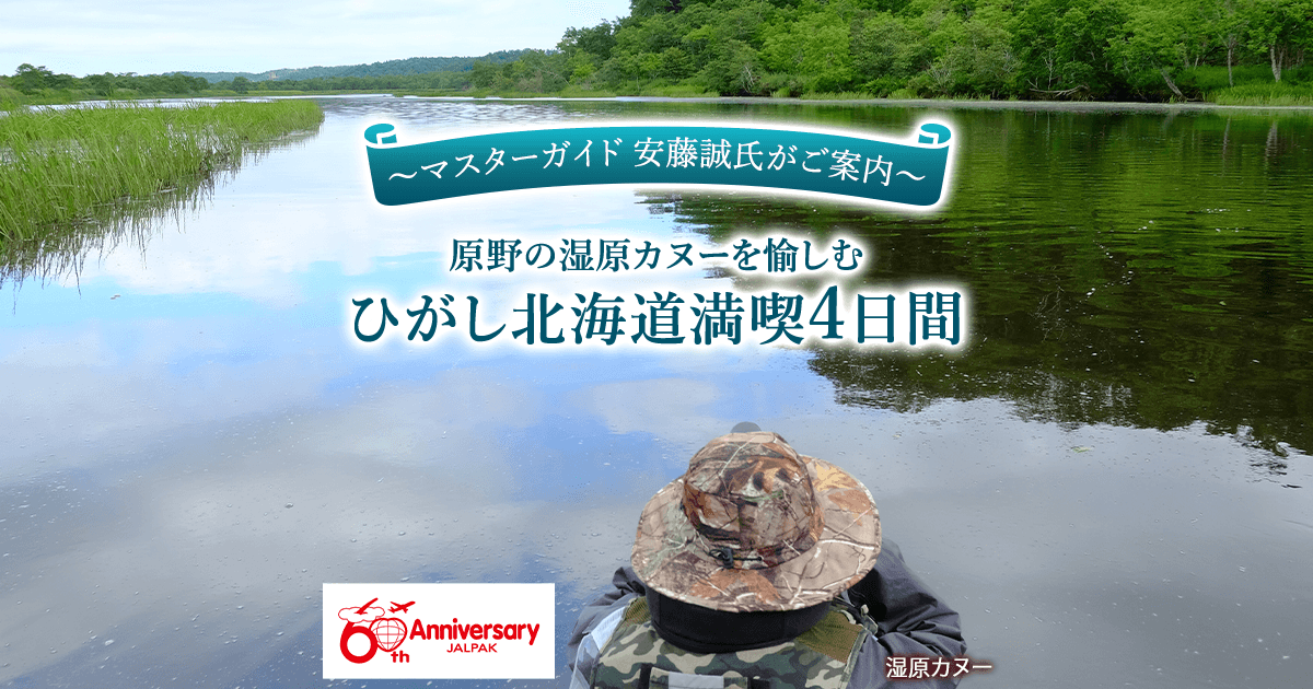 JALパック | ～マスターガイド 安藤誠氏がご案内～ 原野の湿原カヌーを愉しむ ひがし北海道満喫 4日間