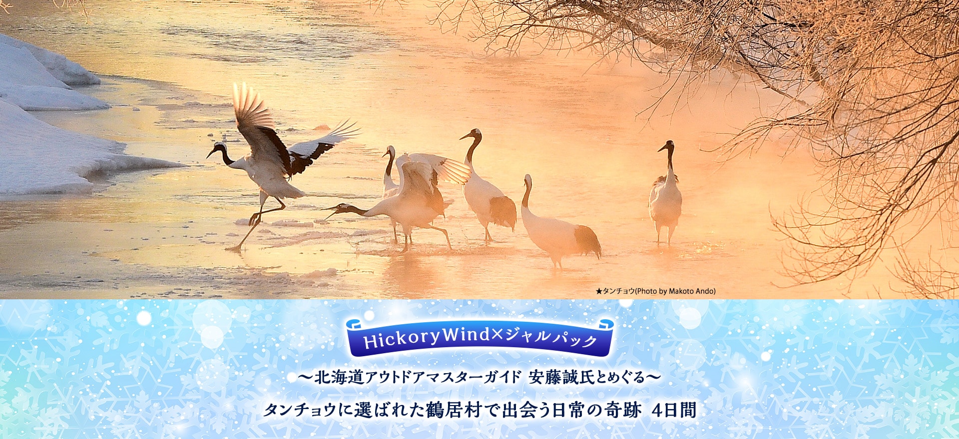 HickoryWind×ジャルパック ～北海道アウトドアマスターガイド 安藤誠氏とめぐる～ タンチョウに選ばれた鶴居村で出会う日常の奇跡　4日間