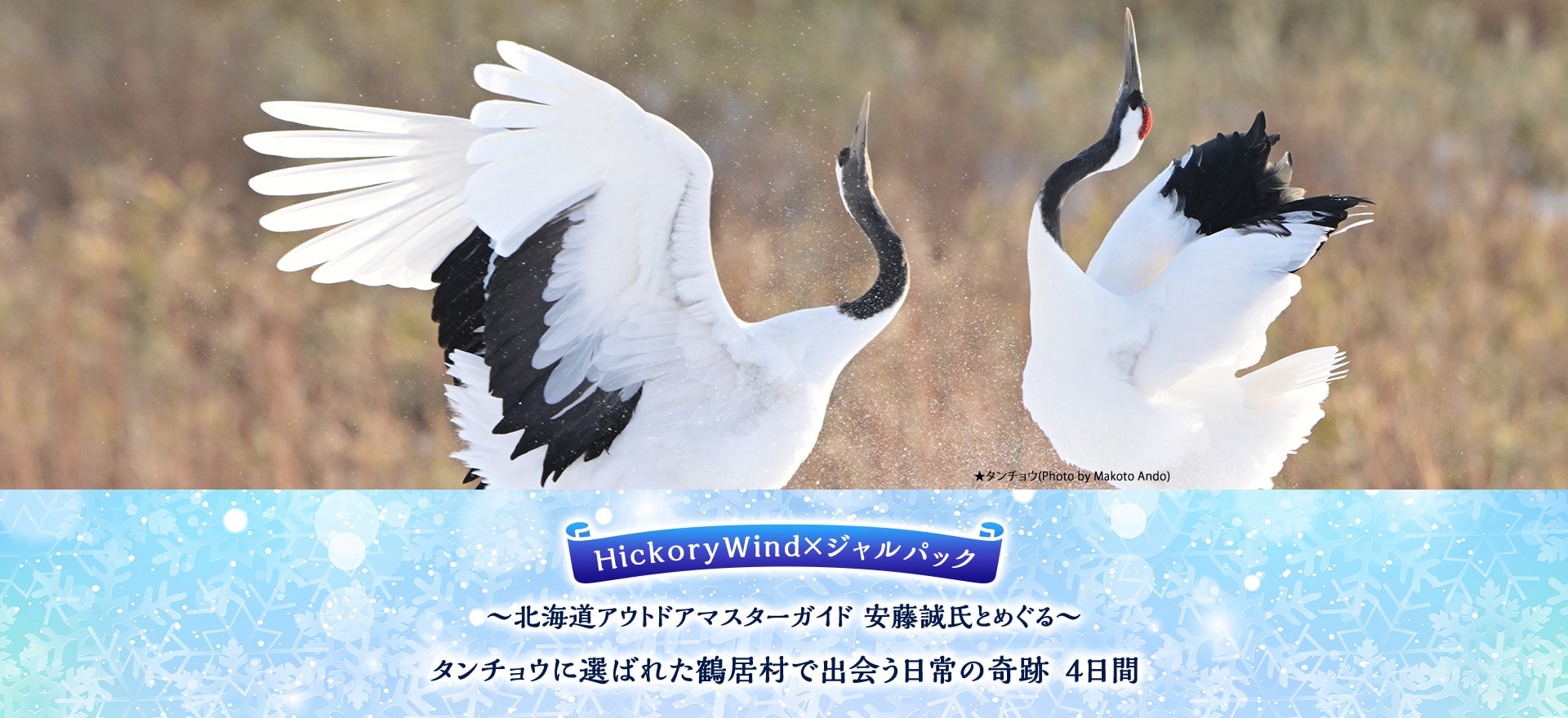 HickoryWind×ジャルパック ～北海道アウトドアマスターガイド 安藤誠氏とめぐる～ タンチョウに選ばれた鶴居村で出会う日常の奇跡　4日間