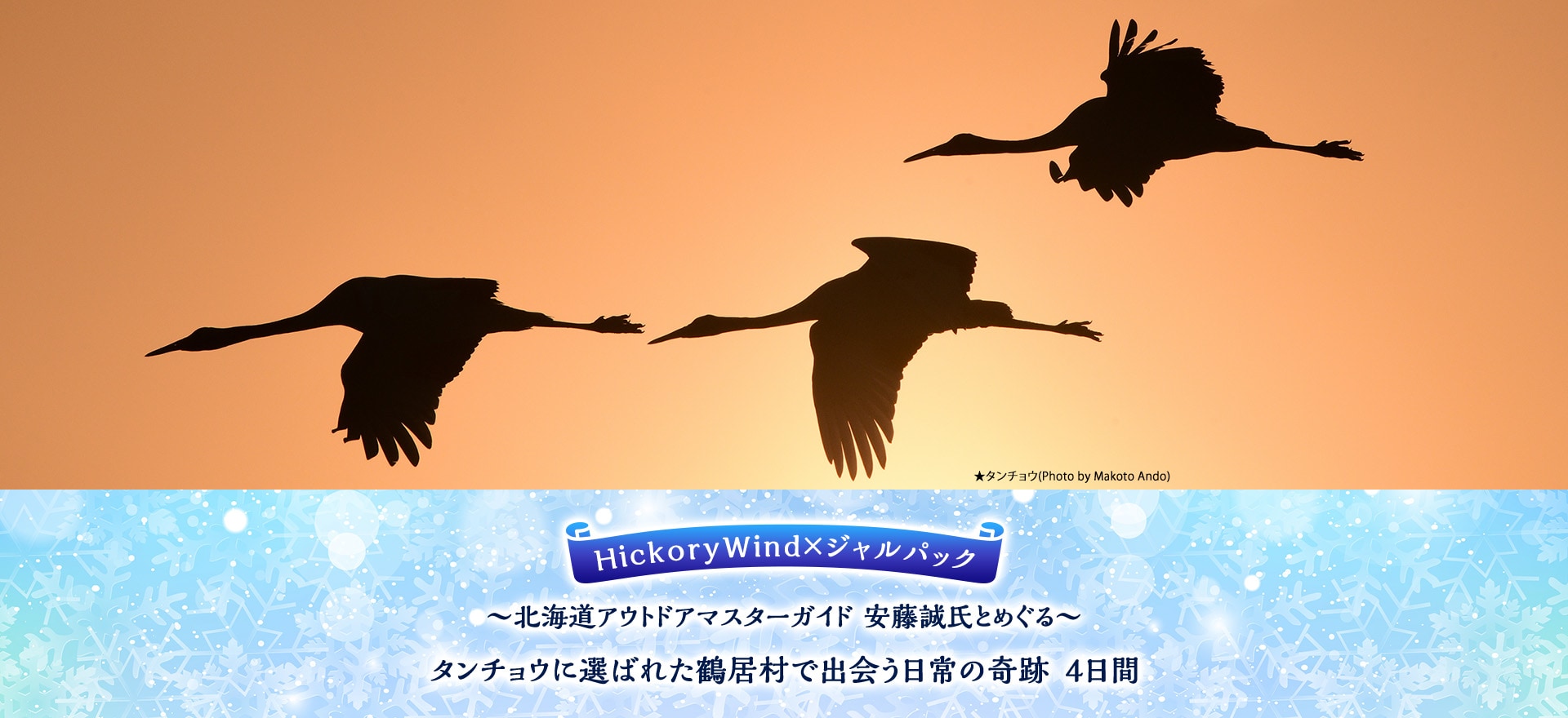 HickoryWind×ジャルパック ～北海道アウトドアマスターガイド 安藤誠氏とめぐる～ タンチョウに選ばれた鶴居村で出会う日常の奇跡　4日間