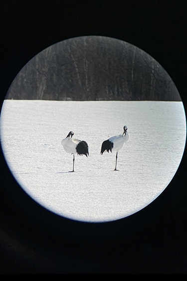 スコープで撮影した写真