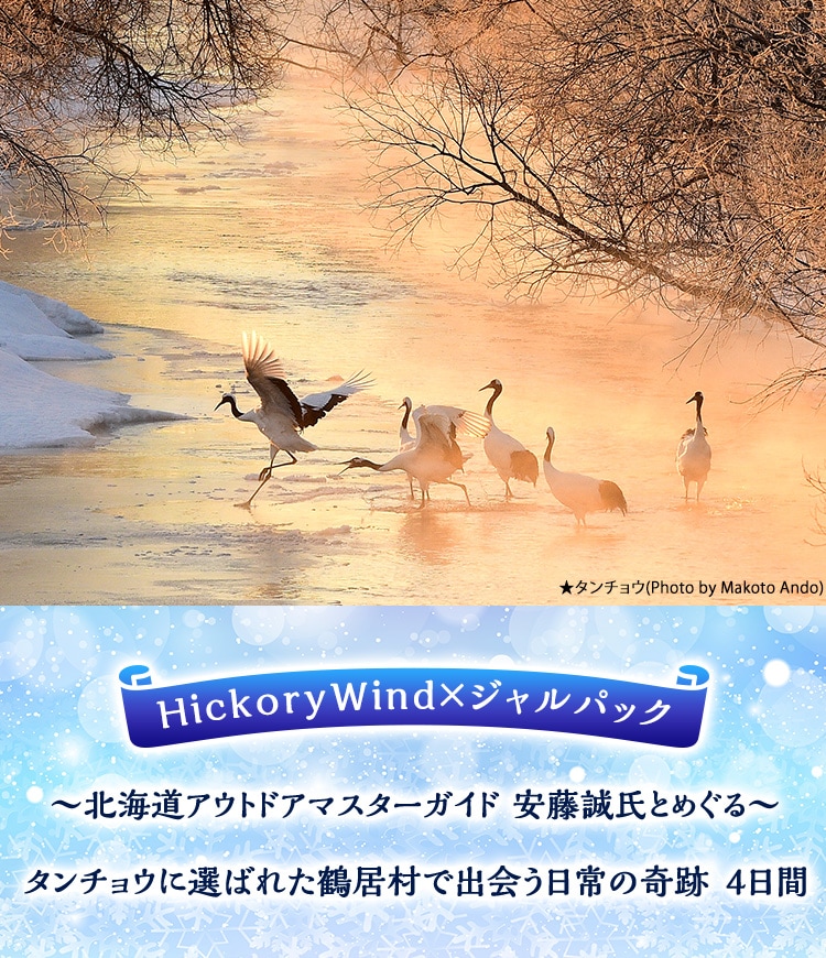 HickoryWind×ジャルパック ～北海道アウトドアマスターガイド 安藤誠氏とめぐる～ タンチョウに選ばれた鶴居村で出会う日常の奇跡　4日間