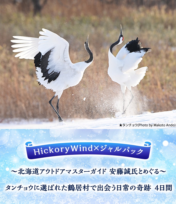 HickoryWind×ジャルパック ～北海道アウトドアマスターガイド 安藤誠氏とめぐる～ タンチョウに選ばれた鶴居村で出会う日常の奇跡　4日間