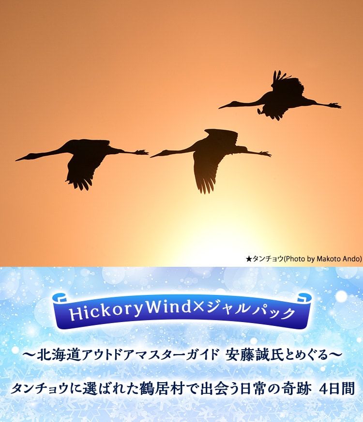 HickoryWind×ジャルパック ～北海道アウトドアマスターガイド 安藤誠氏とめぐる～ タンチョウに選ばれた鶴居村で出会う日常の奇跡　4日間