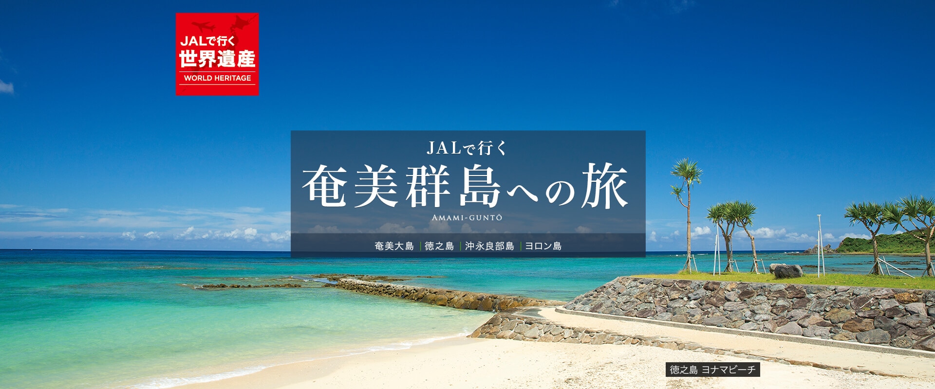 徳之島 ヨナマビーチ