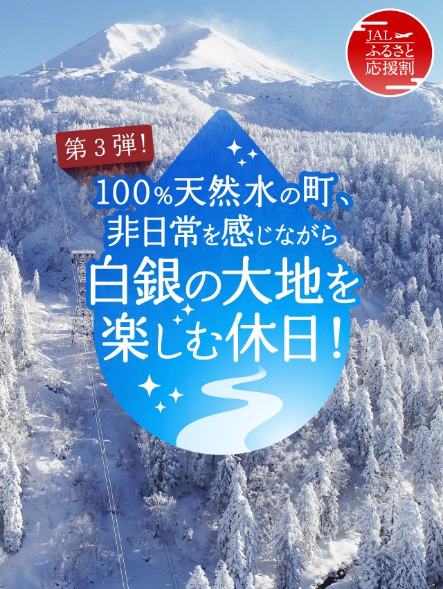 〔第3弾！〕100％天然水の町、非日常を感じながら白銀の大地を楽しむ休日！（東川町）