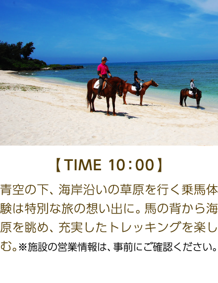 【TIME 10:00】 青空の下、海岸沿いの草原を行く乗馬体験は特別な旅の想い出に。馬の背から海原を眺め、充実したトレッキングを楽しむ。