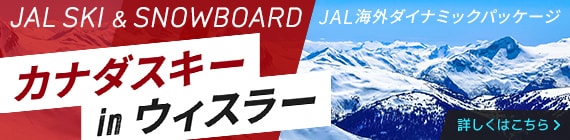 jal 人気 スキー パック