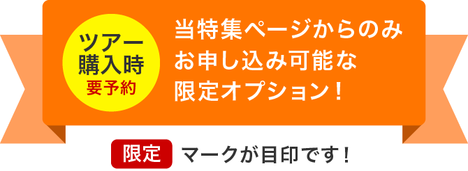 JALで行く東京ディズニーリゾート（R） JAL主催 東京ディズニーシー（R）プライベート・イブニング・パーティー専用チケット付きホテルセット  11月21日・22日出発限定