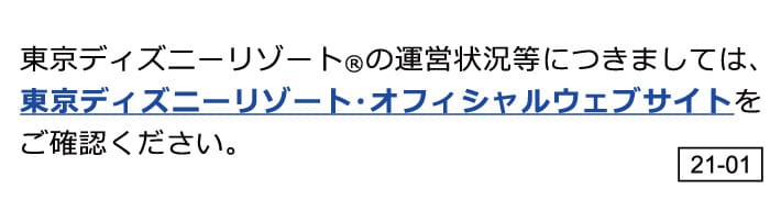 JALで行く東京ディズニーリゾート（R） JAL主催 東京ディズニーシー（R）プライベート・イブニング・パーティー専用チケット付きホテルセット  11月21日・22日出発限定